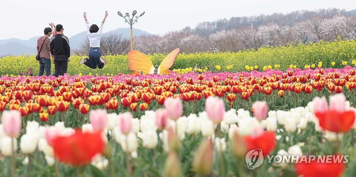 “自然、温泉、体育基础设施”昌宁郡今年目标吸引700万游客